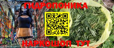 прущие грибы Кунгур