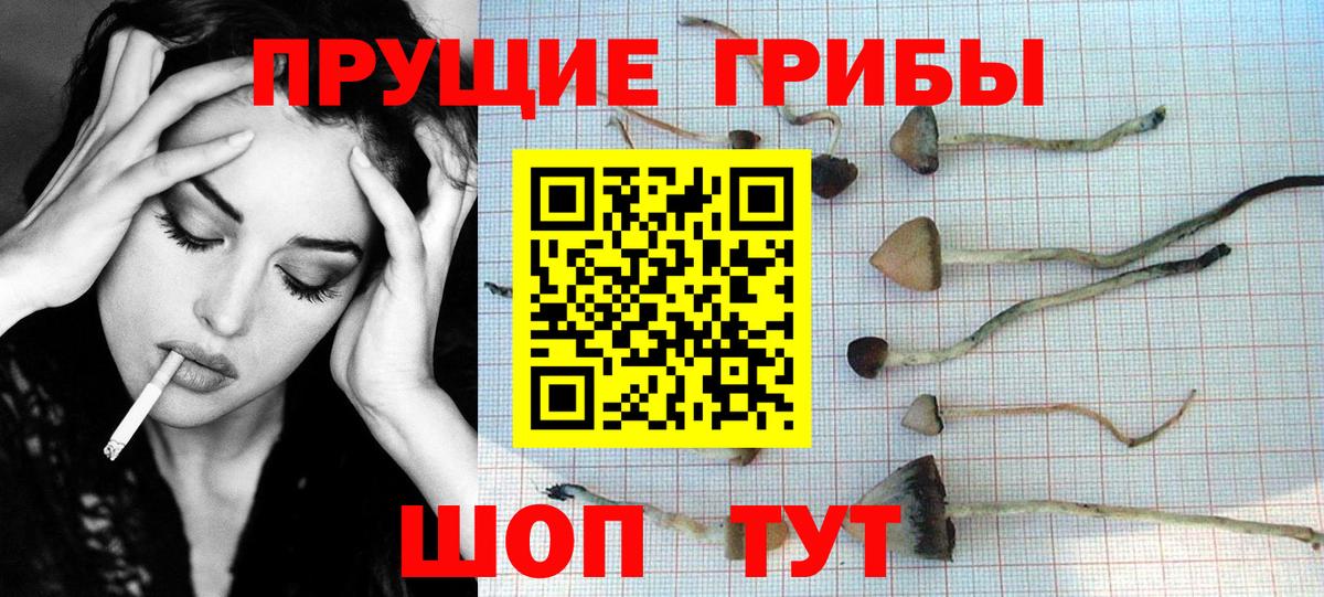 Грязи  Псилоцибиновые грибы прущие грибы  Вход с VPN 