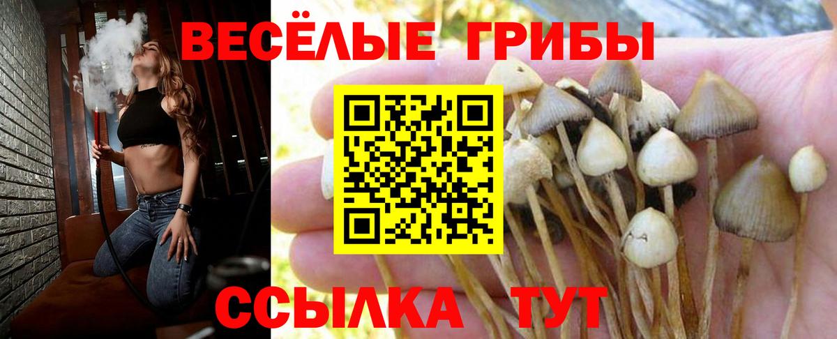 МЕФ кристаллы  ГАШИШ  Альфа ПВП СК   МАРИХУАНА  Грязи  Вход с VPN  Гашиш 